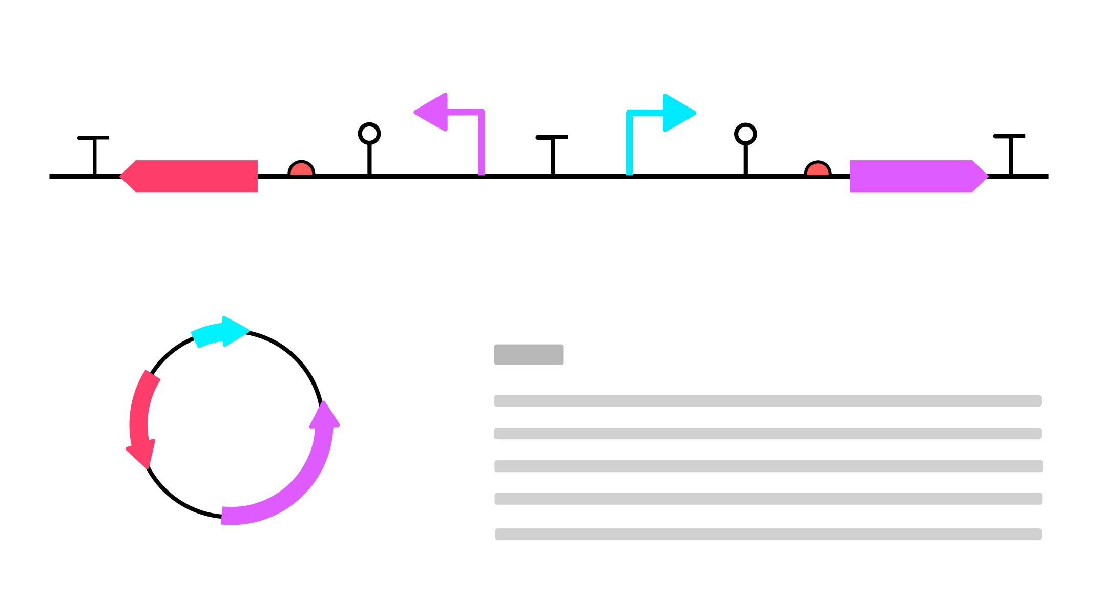 Retna Bio Consulting